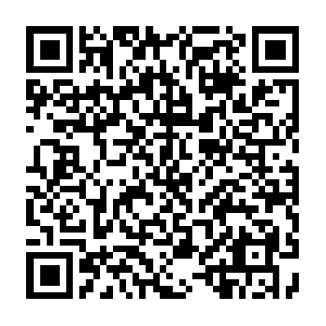 Android App QR